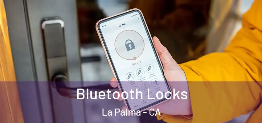  Bluetooth Locks La Palma - CA