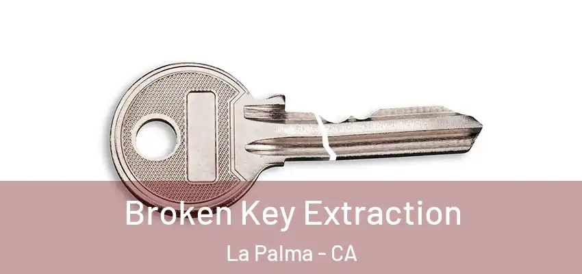  Broken Key Extraction La Palma - CA