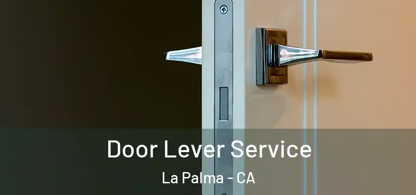  Door Lever Service La Palma - CA