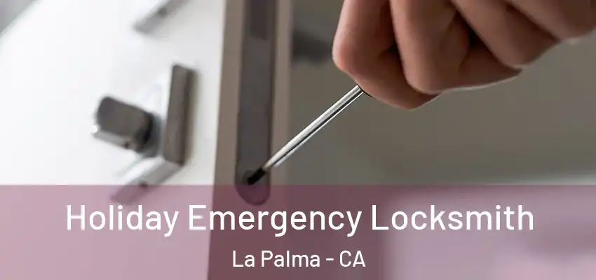  Holiday Emergency Locksmith La Palma - CA