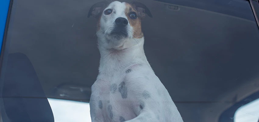 Car Lockout Solutions in La Palma, California