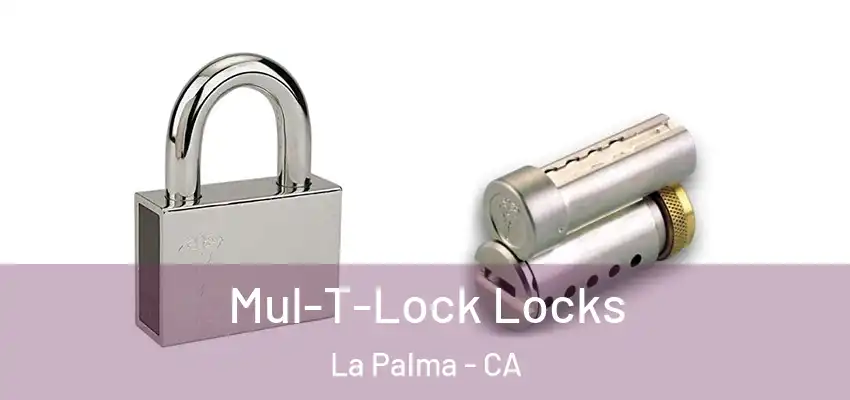  Mul-T-Lock Locks La Palma - CA