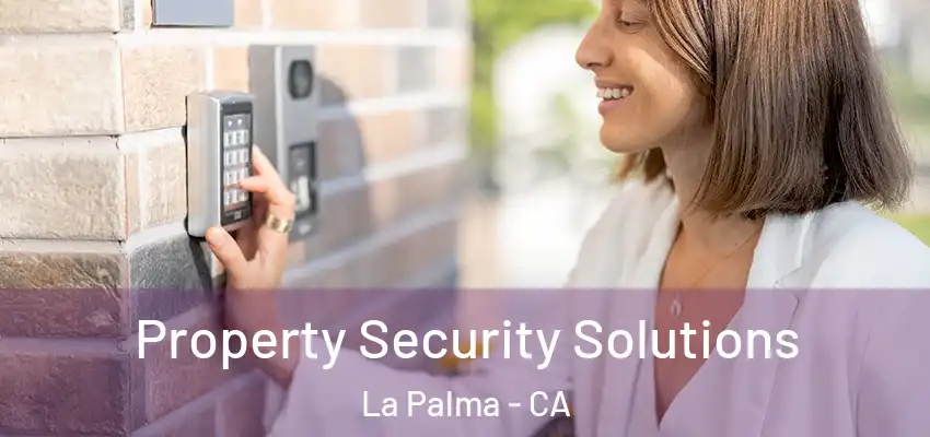  Property Security Solutions La Palma - CA